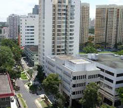 D'Lotus (D12), Apartment #127370862